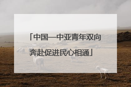 中国—中亚青年双向奔赴促进民心相通