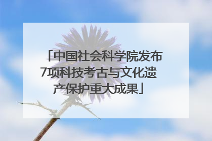 中国社会科学院发布7项科技考古与文化遗产保护重大成果