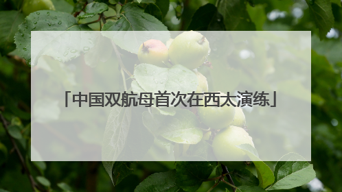 中国双航母首次在西太演练