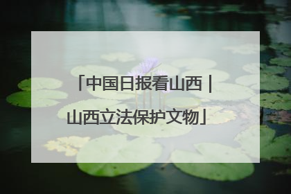 中国日报看山西｜山西立法保护文物