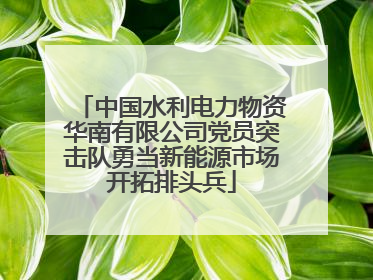中国水利电力物资华南有限公司党员突击队勇当新能源市场开拓排头兵