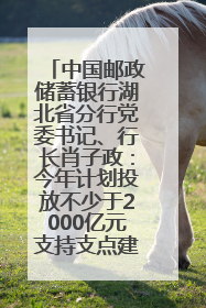 中国邮政储蓄银行湖北省分行党委书记、行长肖子政：今年计划投放不少于2000亿元支持支点建设