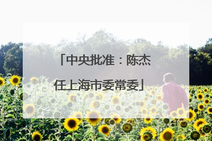 中央批准：陈杰任上海市委常委