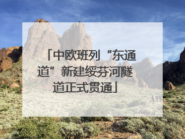 中欧班列“东通道”新建绥芬河隧道正式贯通
