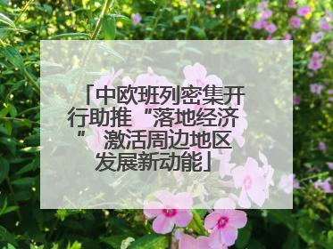 中欧班列密集开行助推“落地经济” 激活周边地区发展新动能