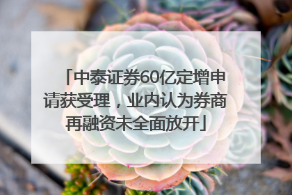 中泰证券60亿定增申请获受理，业内认为券商再融资未全面放开