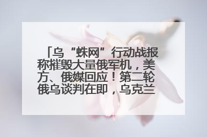 乌“蛛网”行动战报称摧毁大量俄军机，美方、俄媒回应！第二轮俄乌谈判在即，乌克兰提出三大诉求