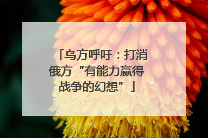 乌方呼吁：打消俄方“有能力赢得战争的幻想”