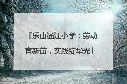 乐山通江小学：劳动育新苗，实践绽华光