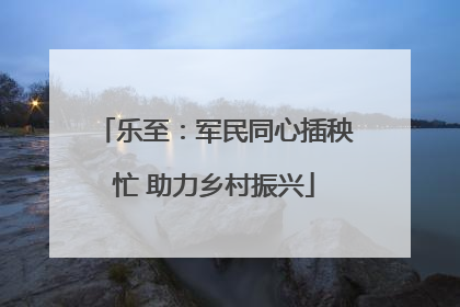 乐至：军民同心插秧忙 助力乡村振兴