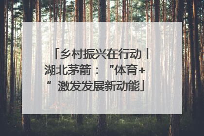 乡村振兴在行动丨湖北茅箭：“体育+”激发发展新动能