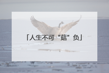 人生不可“菇”负