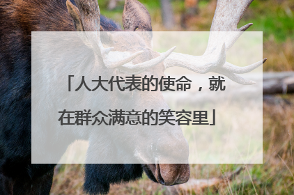 人大代表的使命，就在群众满意的笑容里