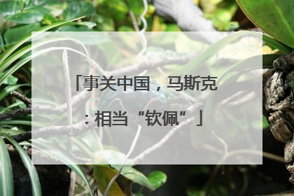事关中国，马斯克：相当“钦佩”