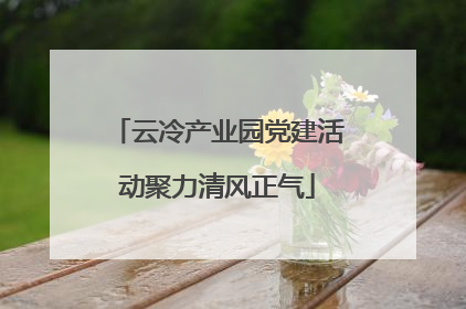 云冷产业园党建活动聚力清风正气