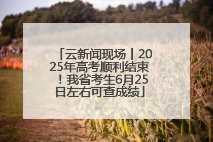 云新闻现场丨2025年高考顺利结束！我省考生6月25日左右可查成绩