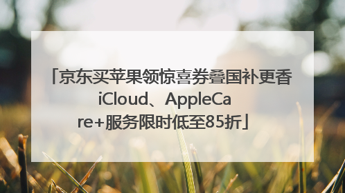 京东买苹果领惊喜券叠国补更香 iCloud、AppleCare+服务限时低至85折