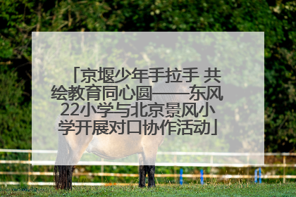 京堰少年手拉手 共绘教育同心圆——东风22小学与北京景风小学开展对口协作活动