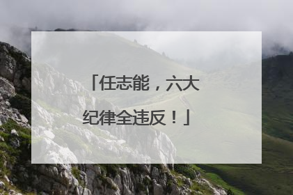 任志能，六大纪律全违反！