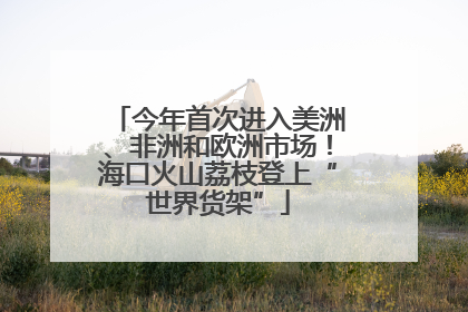 今年首次进入美洲、非洲和欧洲市场！海口火山荔枝登上“世界货架”