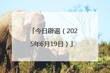 今日辟谣（2025年6月19日）
