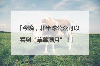 今晚，北半球公众可以看到“草莓满月”！