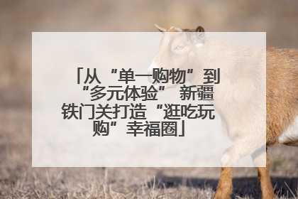 从“单一购物”到“多元体验” 新疆铁门关打造“逛吃玩购”幸福圈