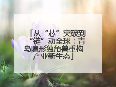 从“芯”突破到“链”动全球：青岛隐形独角兽重构产业新生态