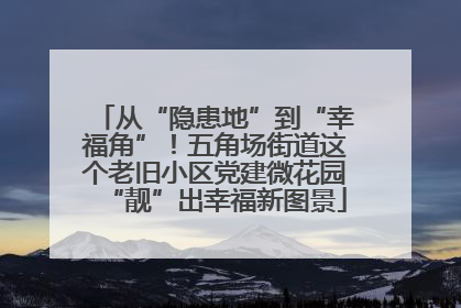 从“隐患地”到“幸福角”！五角场街道这个老旧小区党建微花园“靓”出幸福新图景