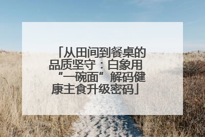 从田间到餐桌的品质坚守：白象用“一碗面”解码健康主食升级密码