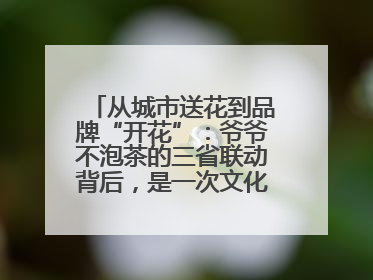 从城市送花到品牌“开花”：爷爷不泡茶的三省联动背后，是一次文化共振式扩张