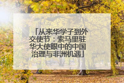 从来华学子到外交使节：索马里驻华大使眼中的中国治理与非洲机遇