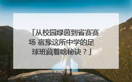 从校园绿茵到省赛赛场 宿豫这所中学的足球班藏着啥秘诀？