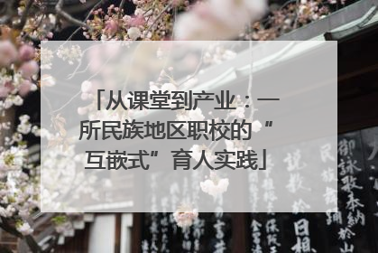 从课堂到产业：一所民族地区职校的“互嵌式”育人实践