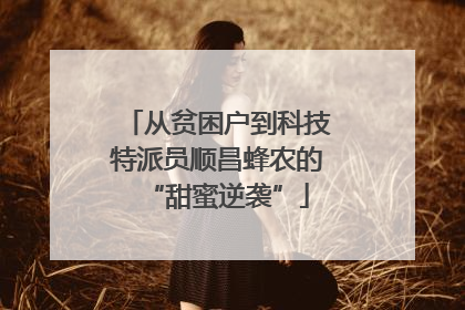 从贫困户到科技特派员顺昌蜂农的“甜蜜逆袭”