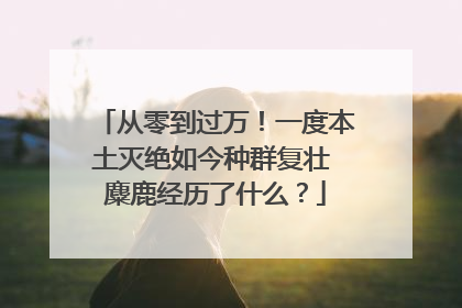 从零到过万！一度本土灭绝如今种群复壮 麋鹿经历了什么？