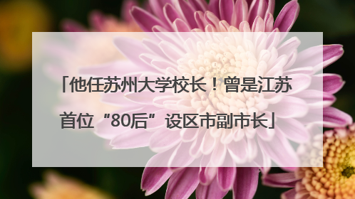 他任苏州大学校长！曾是江苏首位“80后”设区市副市长