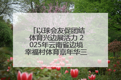 以球会友促团结 体育兴边展活力 2025年云南省边境幸福村体育嘉年华三人篮球赛圆满收官