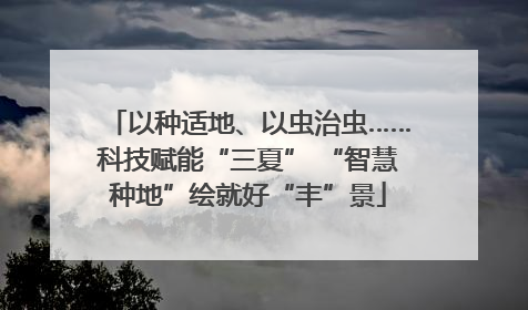 以种适地、以虫治虫……科技赋能“三夏” “智慧种地”绘就好“丰”景