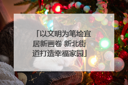 以文明为笔绘宜居新画卷 新北街道打造幸福家园