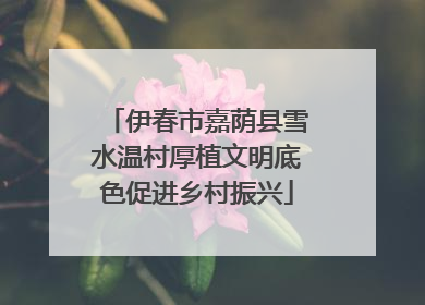 伊春市嘉荫县雪水温村厚植文明底色促进乡村振兴