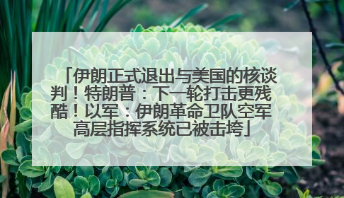 伊朗正式退出与美国的核谈判！特朗普：下一轮打击更残酷！以军：伊朗革命卫队空军高层指挥系统已被击垮