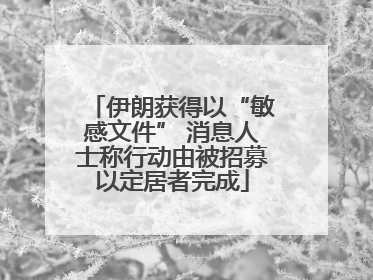 伊朗获得以“敏感文件” 消息人士称行动由被招募以定居者完成