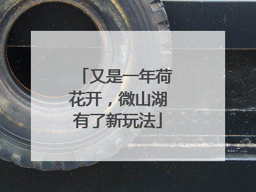 又是一年荷花开，微山湖有了新玩法