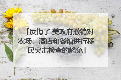 反悔了 美政府撤销对农场、酒店和餐馆进行移民突击检查的豁免
