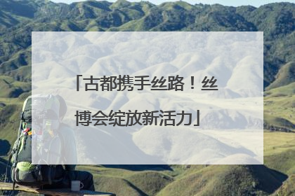 古都携手丝路！丝博会绽放新活力