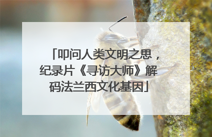 叩问人类文明之思，纪录片《寻访大师》解码法兰西文化基因