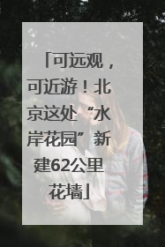 可远观，可近游！北京这处“水岸花园”新建62公里花墙