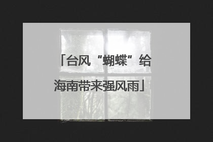 台风“蝴蝶”给海南带来强风雨