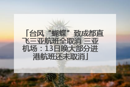台风“蝴蝶”致成都直飞三亚航班全取消 三亚机场：13日晚大部分进港航班还未取消